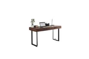 Wayfair Dark Wooden Desk